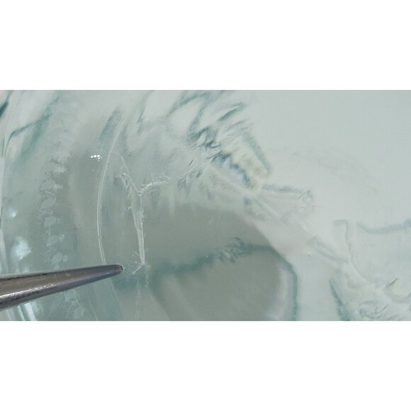 Vintage Vetreria Etrusca Pitcher Thick Green Glass Raised Palm Trees Italy READ - Picture 11 of 11